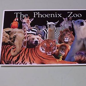 Phoenix Zoo