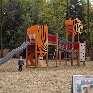 Tiger-Playground