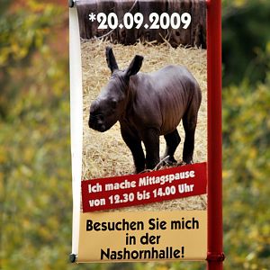 Baby-Rhino-Sign