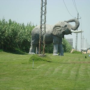 Elephant model outside park