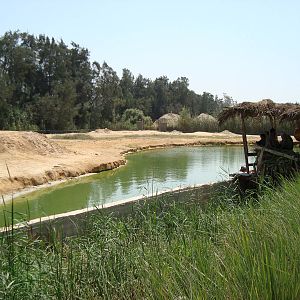 Hippo enclosure