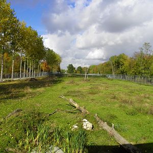 white lions enclosure