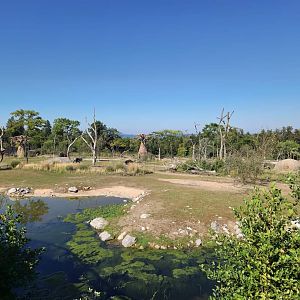 Lewa Savanna, view from the Masoala side