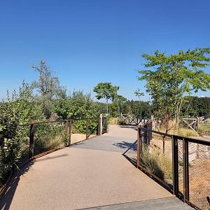 Middle viewing platform, Lewa Savanna