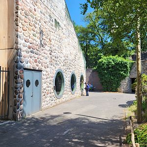 Viewing-window into Gorilla - Colobus indoor enclosure