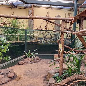 Walk-through enclosure Green iguana and Fish / Caiman tank