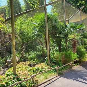 Toucan aviaries