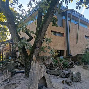 Meerkat exhibit, Giraffe house