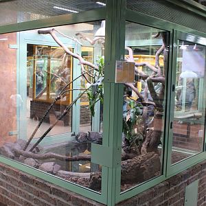 Enclosure Hydronastes gigas