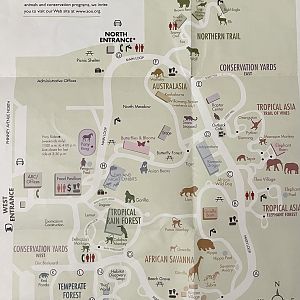 Zoo Map - 2005
