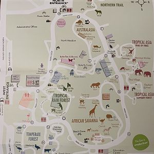 Zoo Map Spring 2008