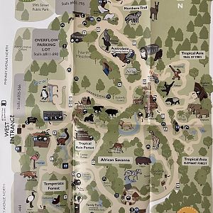 Zoo Map - Winter 2009