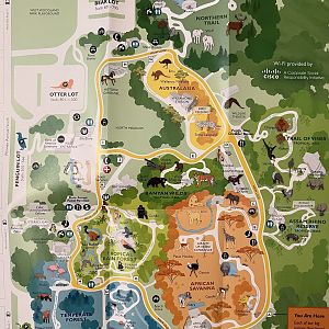 Zoo Map - Spring 2018