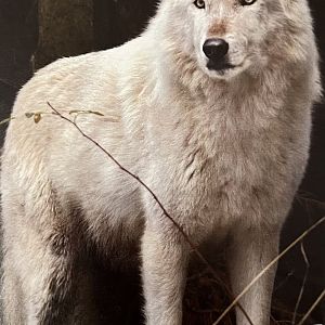 Zoo Map Cover - Winter 2007