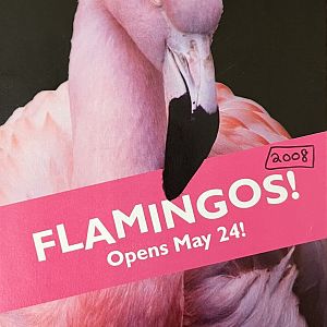 Zoo Map Cover - Spring 2008