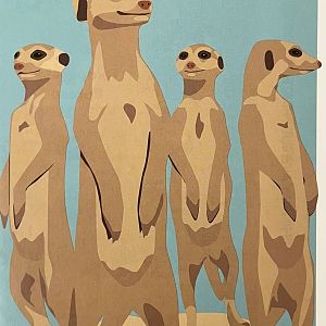 Zoo Map Cover - Spring 2010