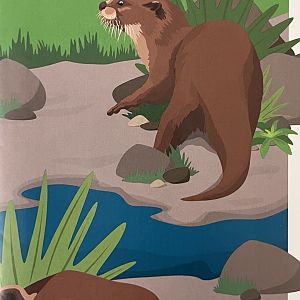 Zoo Map Cover - Summer 2013