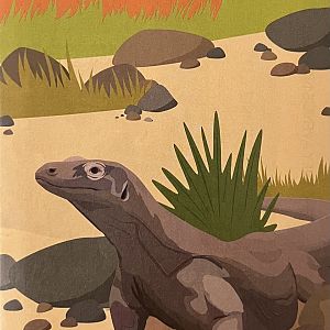 Zoo Map Cover - Winter 2013