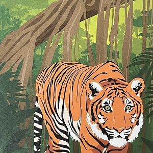 Zoo Map Cover - Summer 2015