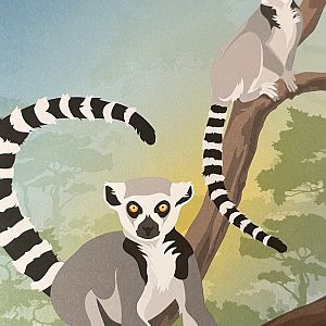 Zoo Map Cover - Winter 2015