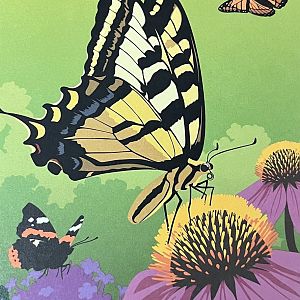 Zoo Map Cover - Summer 2016