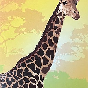 Zoo Map Cover - Summer 2017