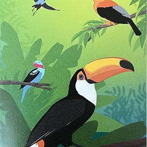 Zoo Map Cover - Winter 2018