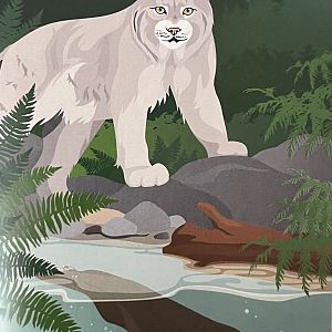 Zoo Map Cover - Spring 2023