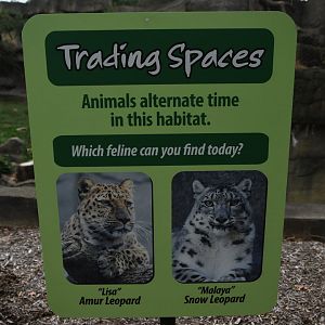 Big Cat Walkway - Sign in front of the Amur leopard exhibit