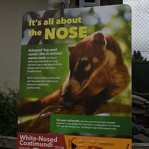 Wild Encounters - White-nosed coati signage