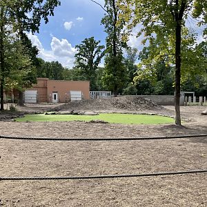 Indian rhino paddock-part 1