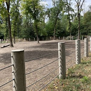 Indian rhino paddock-part 2