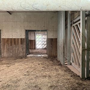 Indian rhino indoors-part 1