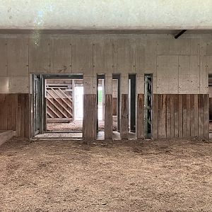 Indian rhino indoors-part 2