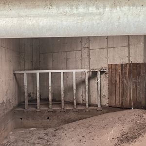 Indian rhino indoors