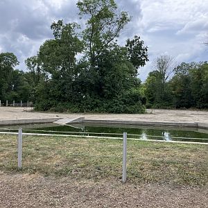 Asian elephant enclosure