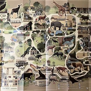Zoo Map - 2014