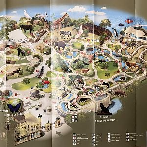 Zoo Map - 2019