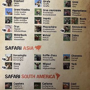 Safari Species List - 2019