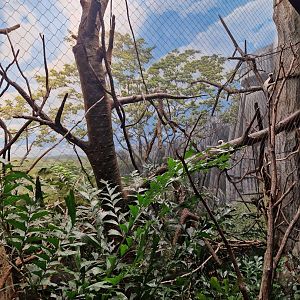 Not a world class exhibit