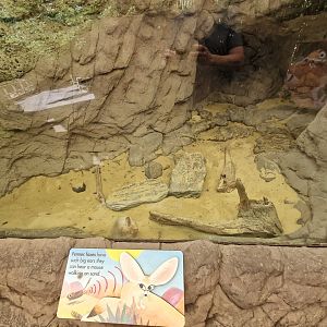 Not a world class exhibit