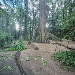 Enrichment gone wrong