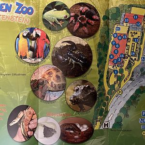 Reptilien Zoo Forchtenstein Map - 2016
