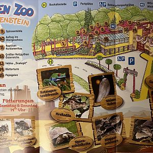 Reptilien Zoo Forchtenstein Map - 2023