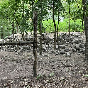 Alpine chamois enclosure