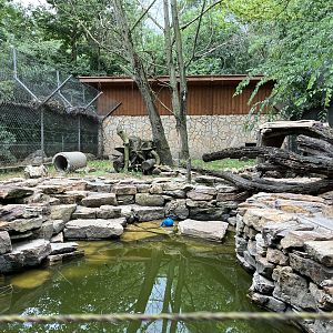 European otter exhibit