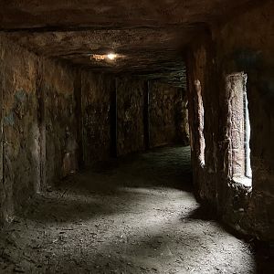 Tunnel in the bear house