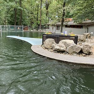 Harbour seal enclosure
