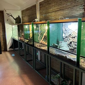 Zoo classroom terrarium