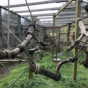 Squirrel Monkey Enclosure at Peak Wildlife Park (August 2023)